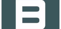 bruecknergroup_logo